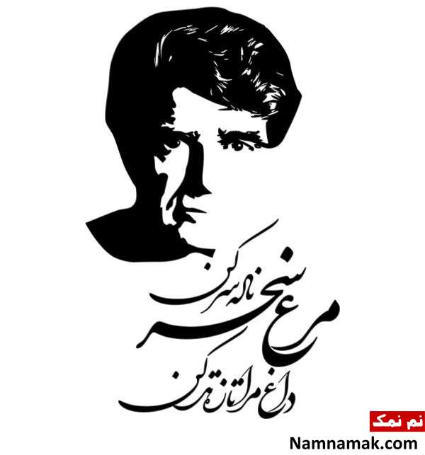 مژگان شجریان مرغ سحر